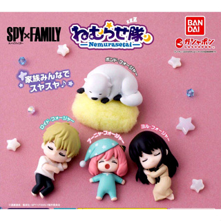 🌈💤 พร้อมส่ง 💤 [ขายแยกเลือกแบบได้/ ขายยกชุด ] กาชาปอง Spy x Family gashapon Nemurasetai พวงกุญแจ ของแท้ 100%