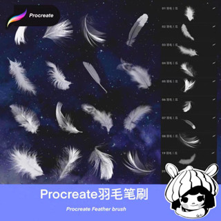 Procreate / Photoshop บรัชปีก ขน ขนนก 40 บรัช (a59)