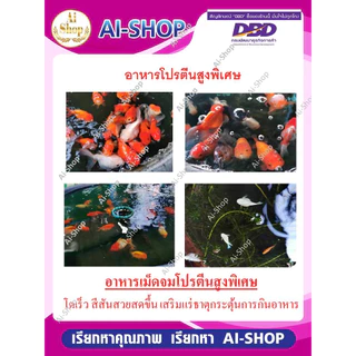 อาหารปลา อาหารเม็ดจมสำหรับปลา อาหารปลาสวยงาม โปรตีนสูง โตเร็ว