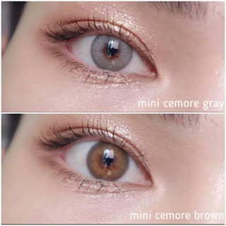 Mini Cemore (Brown, Gray)/Kitty Kawaii​ คิตตี้ คาวาอิ สีน้ำตาล/สีเทา มีค่าสายตา -0.50 ถึง -10.00 คอนแทค​เลนส์ Contaclens