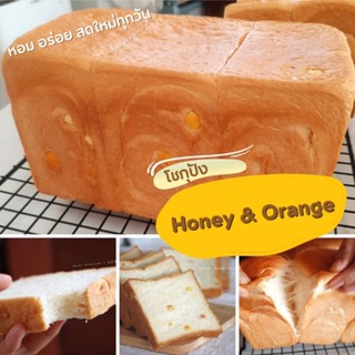 โชกุปังน้ำผึ้งและส้มเชื่อม Honey&amp;Orange shokupan