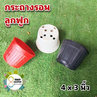 กระถาง รอน 4 นิ้ว // กด 100 ใบ 450 บาท -- กระถาง 4 นิ้ว รอน ลูกฟูก กระถางแคคตัส กระบองเพชร กระถางพลา