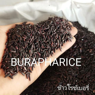 ข้าวไรซ์เบอรี่ นาปี เกรด เอ แพ็คสุญญากาศ 1 กก. | หอม นุ่ม น้ำตาลต่ำ