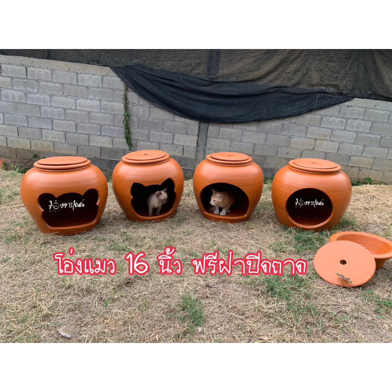โอ่งแมวดินเผาอ่านรายละเอียดก่อนสั่งนะคะ อ่างแมวดินเผา✨ของพร้อมส่ง✨รับประกันสินค้า⚡️ thumbnail 8