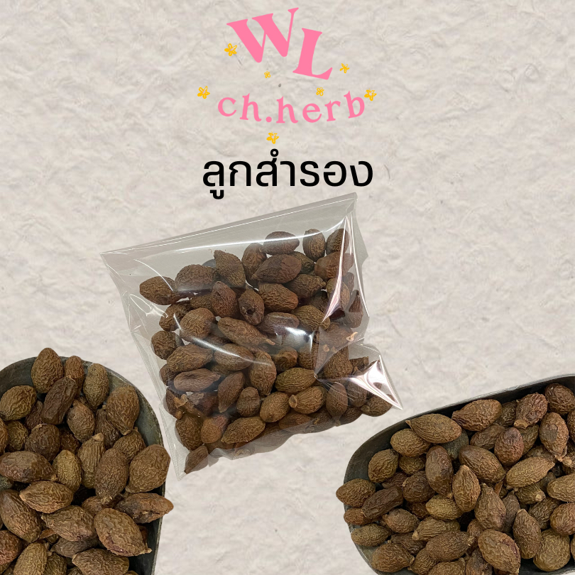 ลูกสำรองแห้ง/หมากจอง สำหรับต้มน้ำลูกสำรอง 100g.