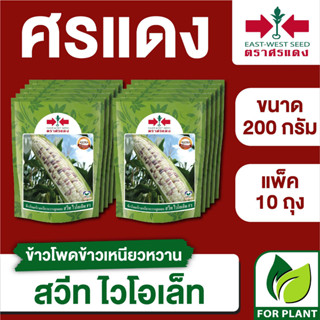 ขายส่ง เมล็ดพันธุ์ ศรแดง BIG ข้าวโพดข้าวเหนียว 2 สี สวีทไวโอเล็ท ขนาด 200 กรัม (บรรจุ 200 กรัม x 10 ถุง)