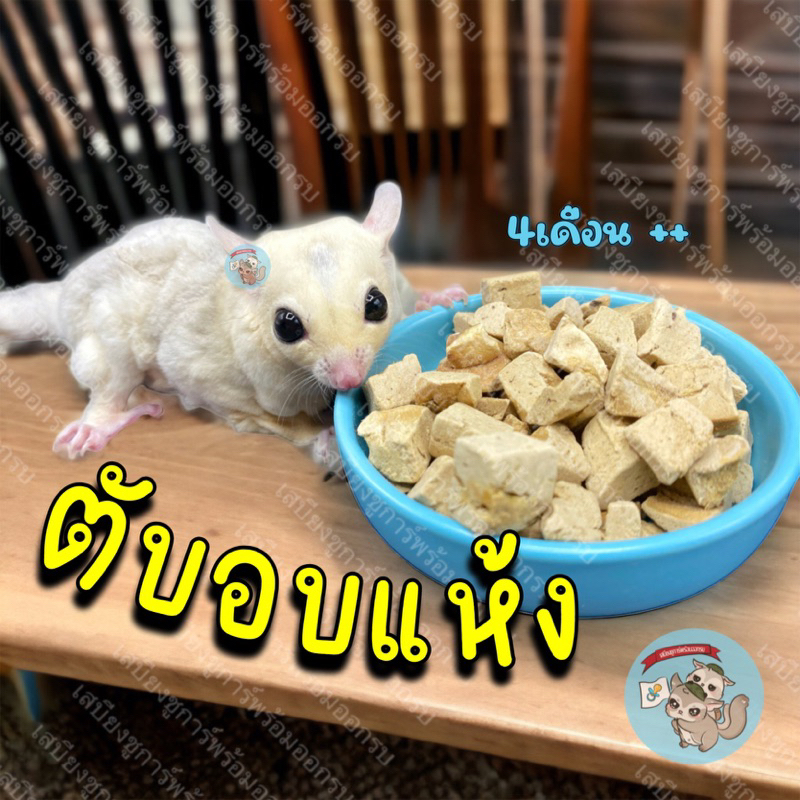 ( ตับอบแห้ง ) ตับแห้ง ตับอบ ตับ อาหาร สัตว์เล็ก สัตว์เลี้ยง ชูการ์ ชูก้า กระรอก แฮมสเตอร์ ดอร์เมาส์ บุชเบบี้ เม่นแคระ