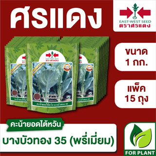 ขายส่ง เมล็ดพันธุ์ ศรแดง BIG คะน้า บางบัวทอง35 (พรีเมี่ยม)  ขนาด 1 กิโลกรัม (1 กก. X 15 ถุง)