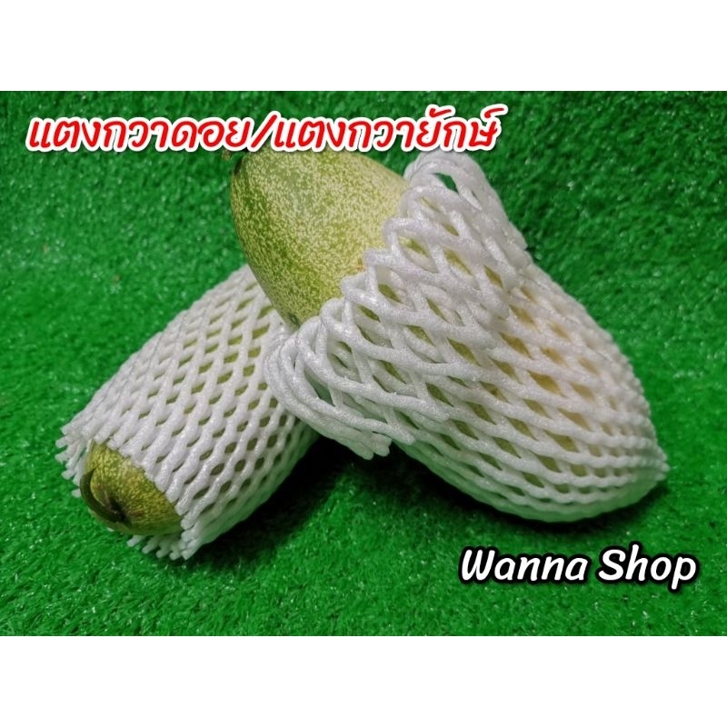 แตงกวาดอย/แแตงกวายักษ์ กก.ละ 69฿