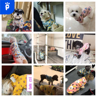 My Paws เสื้อแมว ชุดน้องหมาน้องแมว เสื้อหมา ผ้าคอตตอนอย่างดี