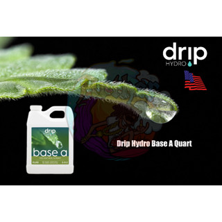 Drip Hydro Base A Quart ปุ๋ยหลักใช้ได้ทุกช่วงตั้งแต่เริ่มจนจบ 946 ML.