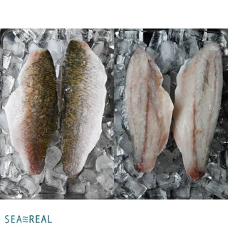 Seareal เนื้อปลากะพงแล่ชิ้นแช่แข็ง 1+ กก. ปลอดกลิ่นดิน | Frozen Seabass Premium 1+ kg