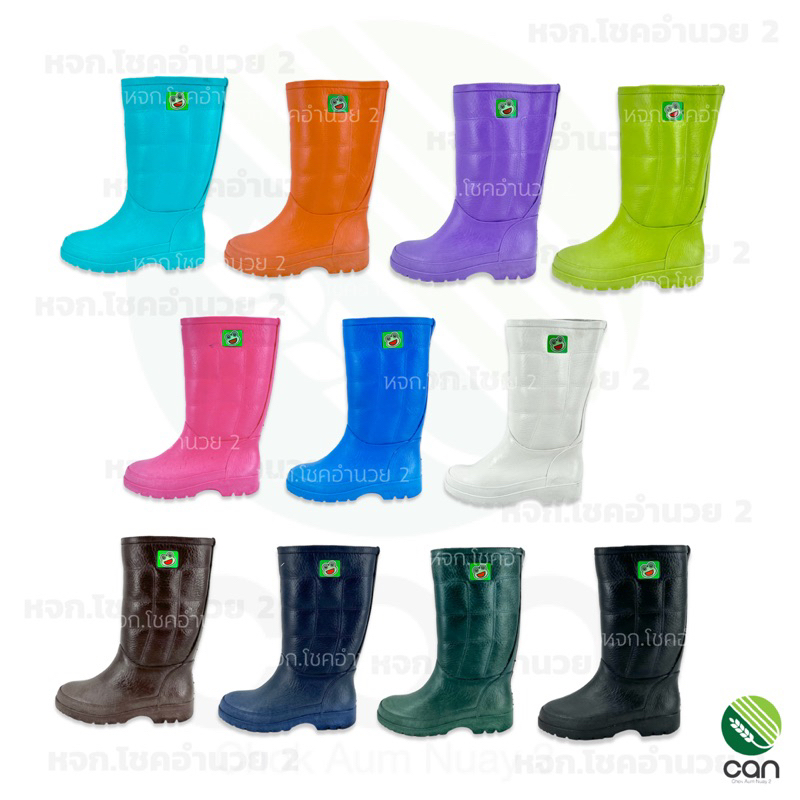 รูปภาพ 3