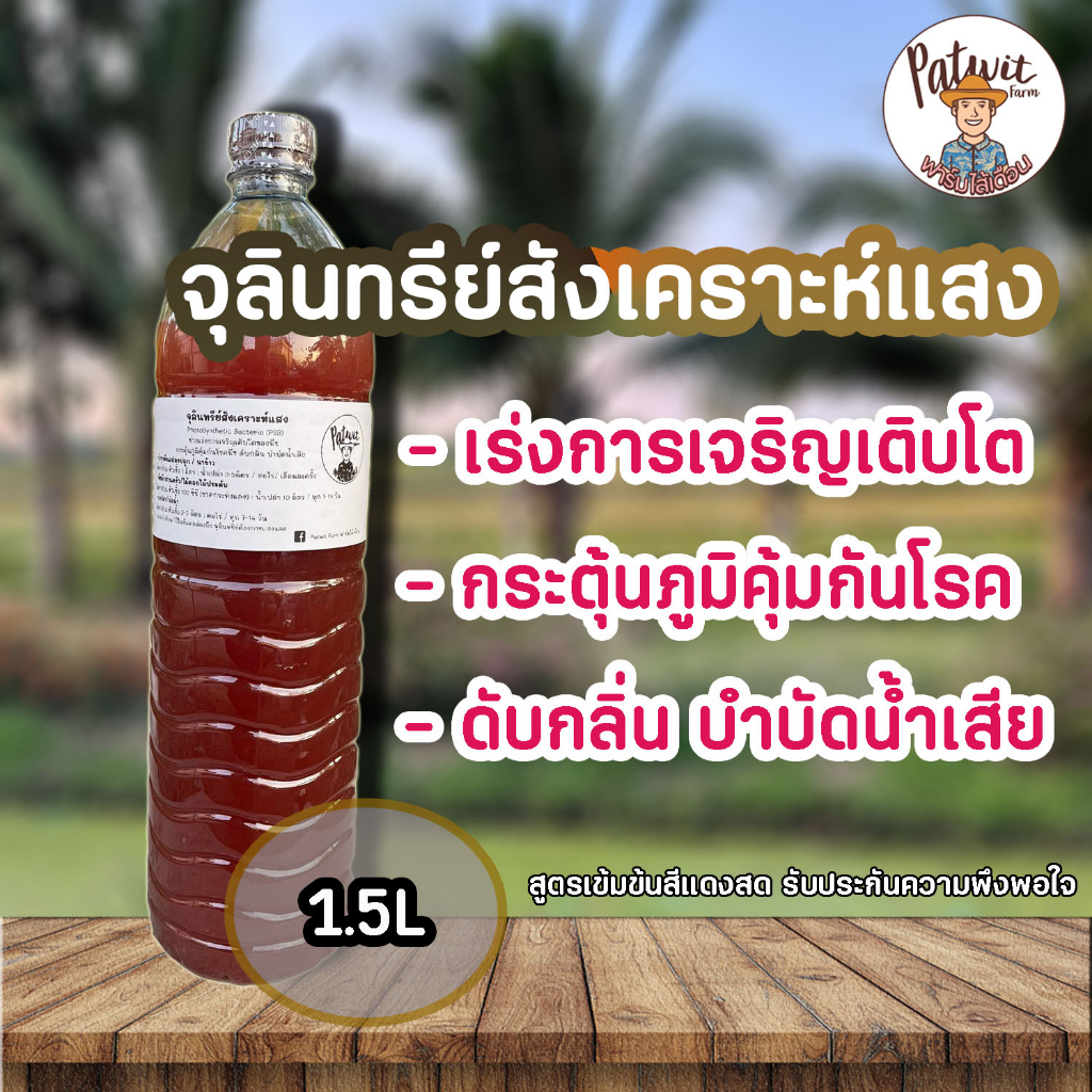 PSB จุลินทรีย์สังเคราะห์แสง1500ml. สูตรเข้มข้นสีแดงสด ใช้ขยายเชื้อต่อได้ไม่รู้จบ บ่อปลา ไข่ผำ ไม้ดอกไม้ประดับ ผักสลัด