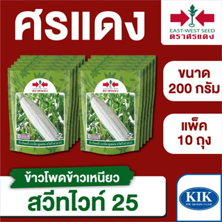 ขายส่ง เมล็ดพันธุ์ ศรแดง BIG ข้าวโพดข้าวเหนียว สวีทไวท์25 ขนาด 200 กรัม (200 กรัม X 10 ถุง)