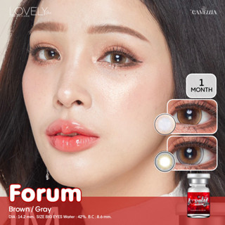 (ลด70%) ✨คอนแทคเลนส์ Lovely lens : Forum brown / gray✨ ขนาดบิ๊กอาย