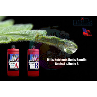 Mills Nutrients Basis Bundle Basis A &amp; Basis B ปุ๋ยหลักใช้ได้ทุกช่วงตั้งแต่เริ่มจนจบ 946 ML.