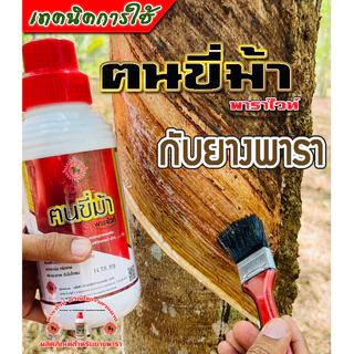 ฅนขี่ม้าพาราไวท์ ของแท้จาก จากศูนย์กระจ่ายสินค้าหลัก พัทลุง