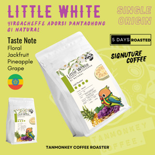 Tanmonkey Single Origin เมล็ดกาแฟคั่วEthiopia Yirgacheffe Adorsi Pantaohong G1 Natural (Little White)