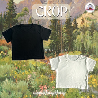 crop top เสื้อครอปคอกลมแขนสั้น ผ้าร่องเกรดพรีเมียม ไม่บาง ไม่ย้วย