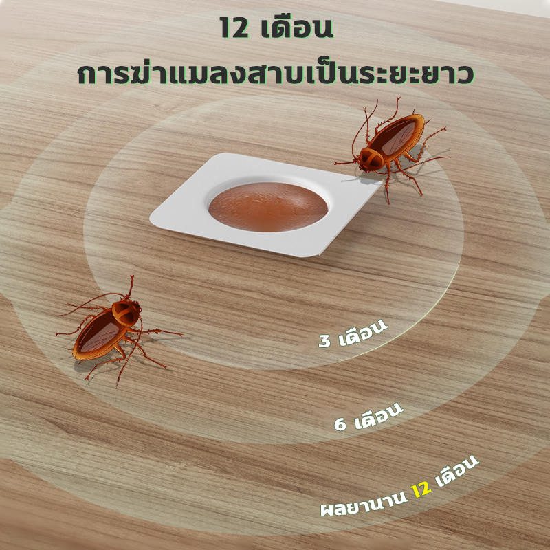 แมลงสาบล่อเพื่อทำลายแมลงสาบ , ยากำจัดแมลงสาบ，ปลอดภัยสำหรับคนและสัตว์เลี้ยง , ปลอดสารพิษ , ฆ่าทั้งรัง - รูปที่ 4