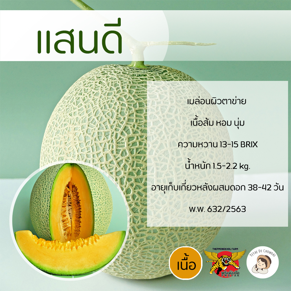 เมล็ดเมล่อนพันธุ์แสนดี 100 เมล็ด ตราพยัคฆ์ติดปีก เทพมงคลเมล็ดพันธุ์
