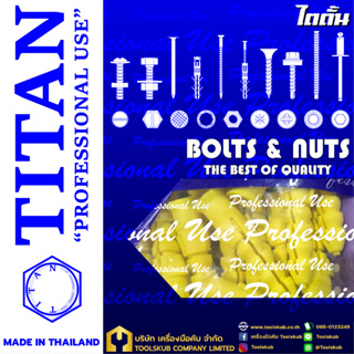 TITAN “PROFESSIONNAL USE” MADE IN THAILAND พุ๊กพลาสติก-เหลือง NO.10 (มี30ชิ้นใน1ห่อ)