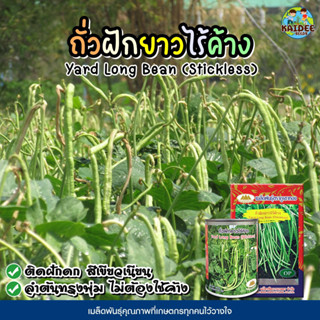 เมล็ดถั่วฝักยาวไร้ค้าง ตราภูเขาทอง ขนาด60กรัม เมล็ดพันธุ์ถั่วฝักยาวไร้ค้าง ถั่วไร้ค้าง ถั่วฝักยาว เมล็ดถั่วฝักยาว