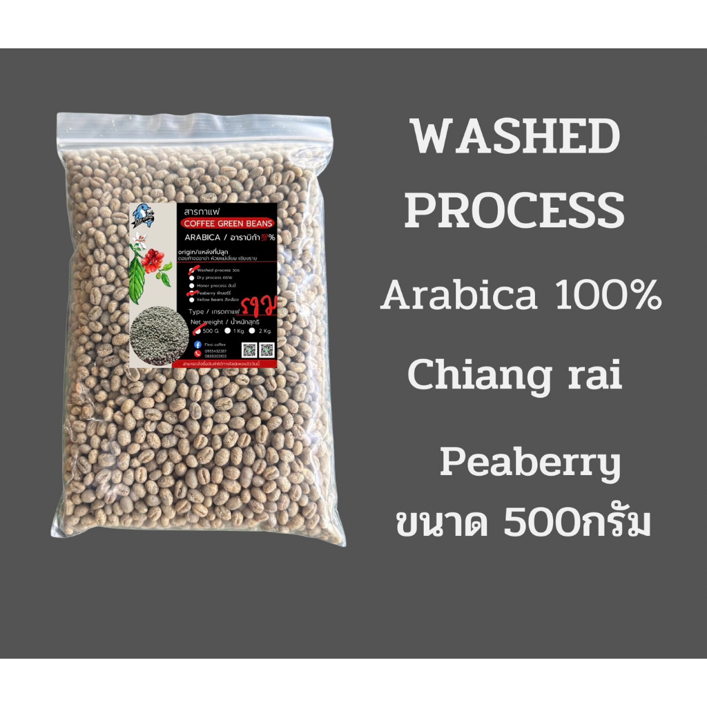 เมล็ดกาแฟดิบ/เมล็ดกาแฟสาร Peaberryอาราบิก้า % เกรดรวม 500g จากดอยกาจออาข่า ห้วยแม่เลี่ยม ห้วยชมภูเชียงราย ใหม่ 65-66