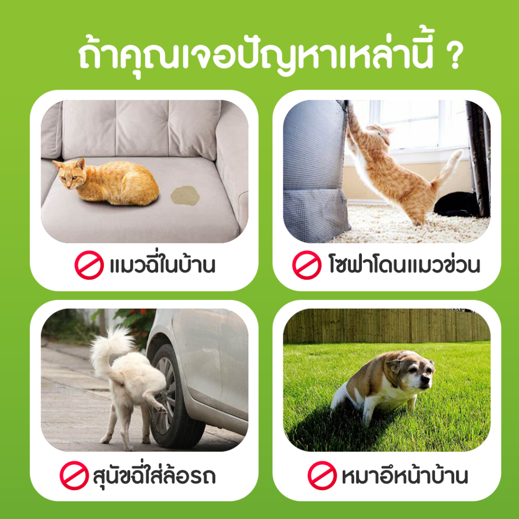 ไล่แมว ยาไล่แมว สเปรย์ไล่สุนัข ไล่หมา ไล่สุนัข  สเปรย์ไล่แมว ไล่แมวฉี่ สเปรย์ไล่หมา  ไล่หมาขี้ สเปรย์ไล่สุนัข ไล่หมาแมว รูปที่ 2