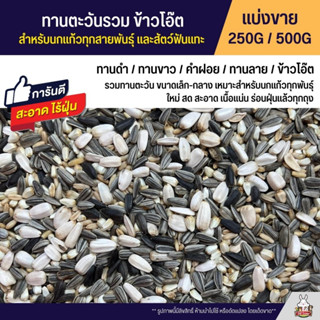 ทานตะวันรวม ข้าวโอ๊ต อาหารนกแก้วทุกสายพันธุ์ และสัตว์ฟันแทะ (แบ่งขาย 250G / 500G)