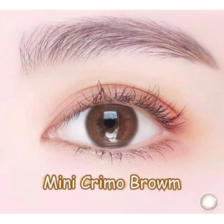 ส่งด่วนทุกวัน‼️คอนแทคเลนส์ รุ่น Crimo (Mini Primo) สี Brown / Gray - Gaezz Secret ขนาดมินิ