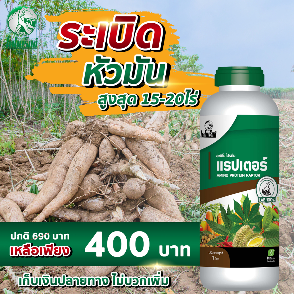 ปุ๋ยน้ำสูตรเข้มข้น ปัญหา ดอกร่วง หางแย้ร่วง [อะมิโนแรปเตอร์] ไดโนเร็กซ์ ขนาด 1 ลิตร ใช้ได้ถึง 12 ไร่