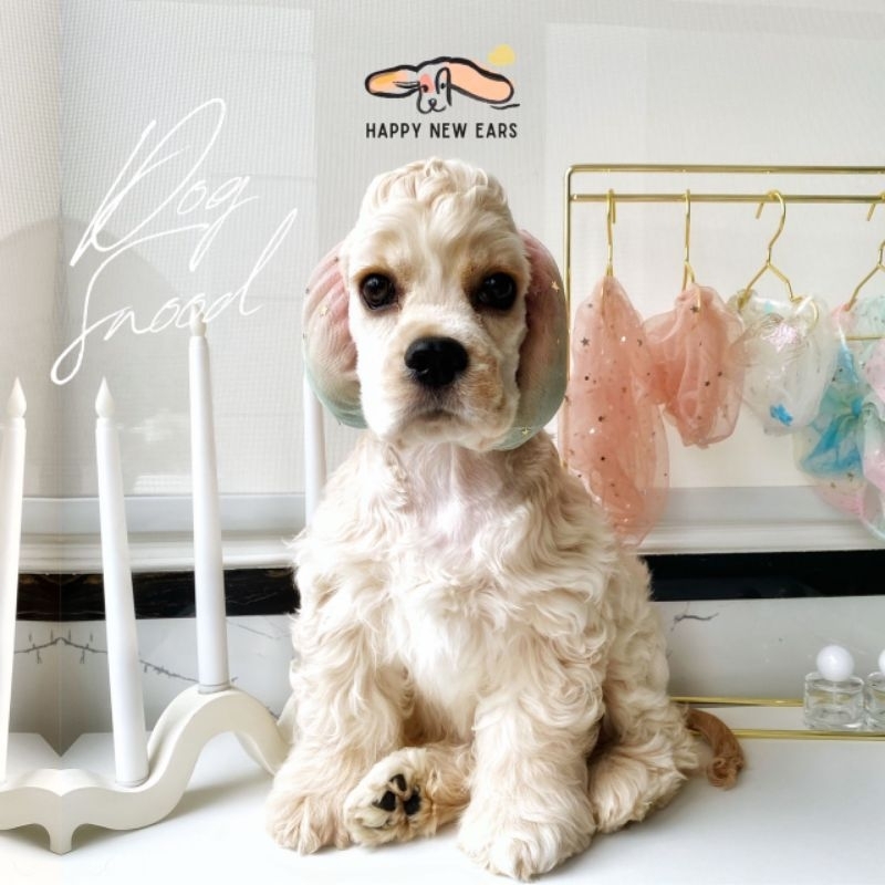 ที่เก็บหูสุนัข HAPPY NEW EARS - Dog Snood สำหรับสุนัขหูยาวขนาดกลาง กันหูเปียกน้ำเปื้อนอาหาร ป้องกันหูอักเสบหูเหม็น