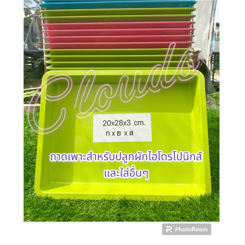 ถาดเพาะพลาสติก ใส่ฟองน้ำปลูกผักไฮโดร์ 96 ช่อง(ลอกขอบฟองน้ำออกถ้ามี)ย้ำ ไม่ต้องดึงฟองน้ำออก 1 แถว และใส่อื่นๆ