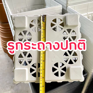 กระถางต้นไม้ กระถางสี่เหลี่ยม กระถางกุหลาบ 12 นิ้ว ยกโหล 12 ใบ สีขาว