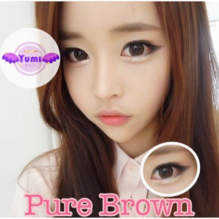 คอนแทคเลนส์ Pure gray/brown (Dream color1 )