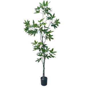 Artificial Pachira aquatica Tree - Height 210 cm ต้นศุภโชค 210 ซม. ต้นไม้ปลอมเกรดพรีเมี่ยม ไม้มงคล