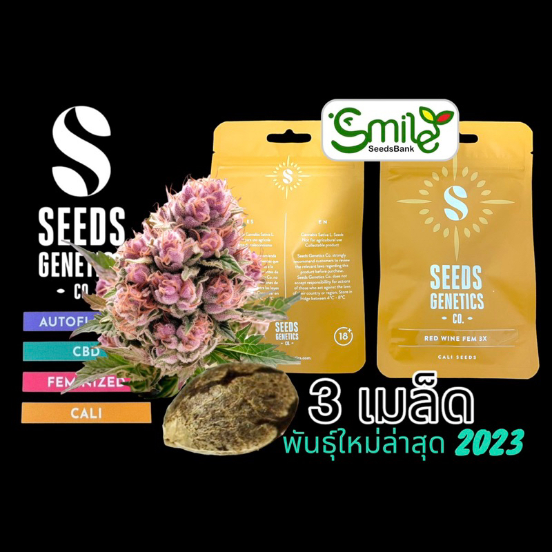 เมล็ดกัญชา Red Wine (Fem) ใหม่ล่าสุด* - Seeds Genetics.Co
