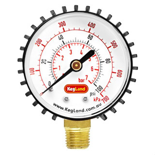 Low Pressure Gauge 0-100 psi for Regulator