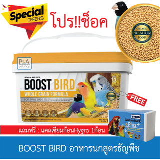 พร้อมส่ง!! BOOST BIRD อาหารนกสูตรธัญพืช /สำหรับนกขนาดเล็ก/ 1kg. [โปรแถมแคลเซียม1ก้อน].