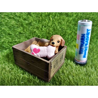 (มีของพร้อมส่ง) Gashapon กาชาปองหมาดัชชุนในลัง Dachshund โมเดลหมา