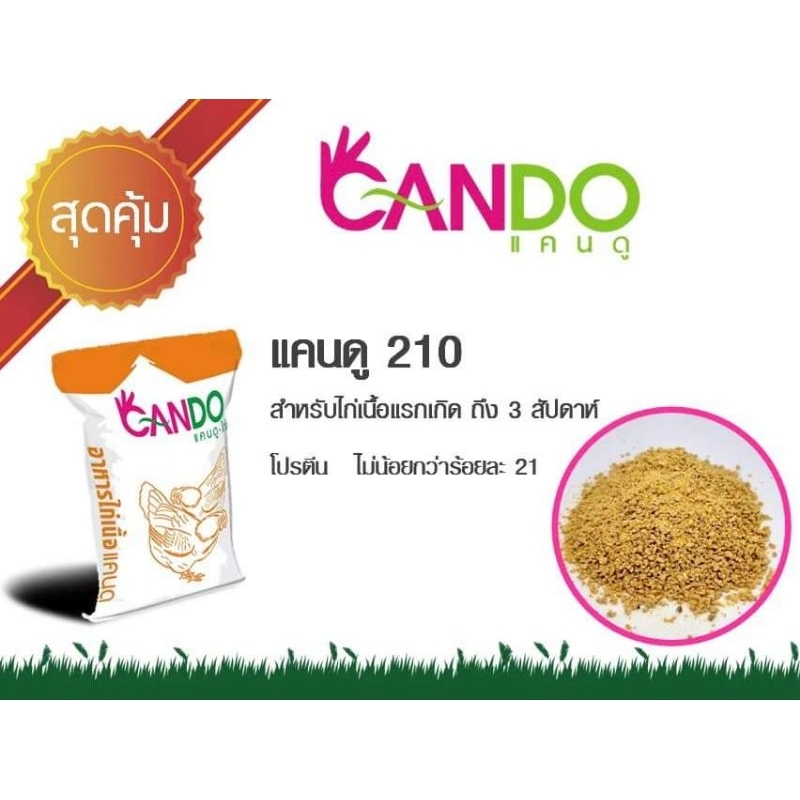 (แบ่งถุงละ1kg.)แคนดู210 อาหารลูกไก่ โปรตีน21% ลูกเป็ด นกกะทา ลูกห่าน