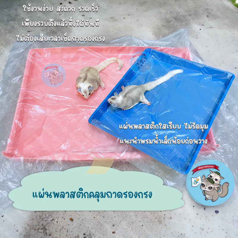 ( แผ่นพลาสติกรองกรง 50 ชิ้น ) PLASTIC CAGE COVER แผ่นคลุมถาดรองกรง แผ่นพลาสติกคลุมถาดรองกรง ถาดรองกรง กรง อาหาร หนอนนก