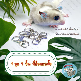 V ( ที่ล็อคกรงจิ๋ว 4ชิ้น ) MINI ที่ล็อค ตัวล็อค กรง กรงสัตว์เลี้ยง กรงสัตว์เล็ก กรงกระรอก กรงชูการ์ กรงกระต่าย กรงนก