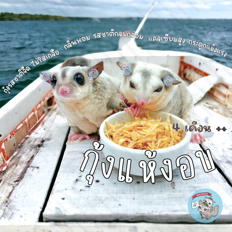 ( กุ้งอบแห้ง ) SHRIMP จืด ไม่เค็ม เหมือนกุ้งแห้งสีส้ม ขนม อาหาร แมลงอบแห้ง สัตว์เล็ก สัตว์เลี้ยง ชูการ์ กระรอก แฮมสเตอร์