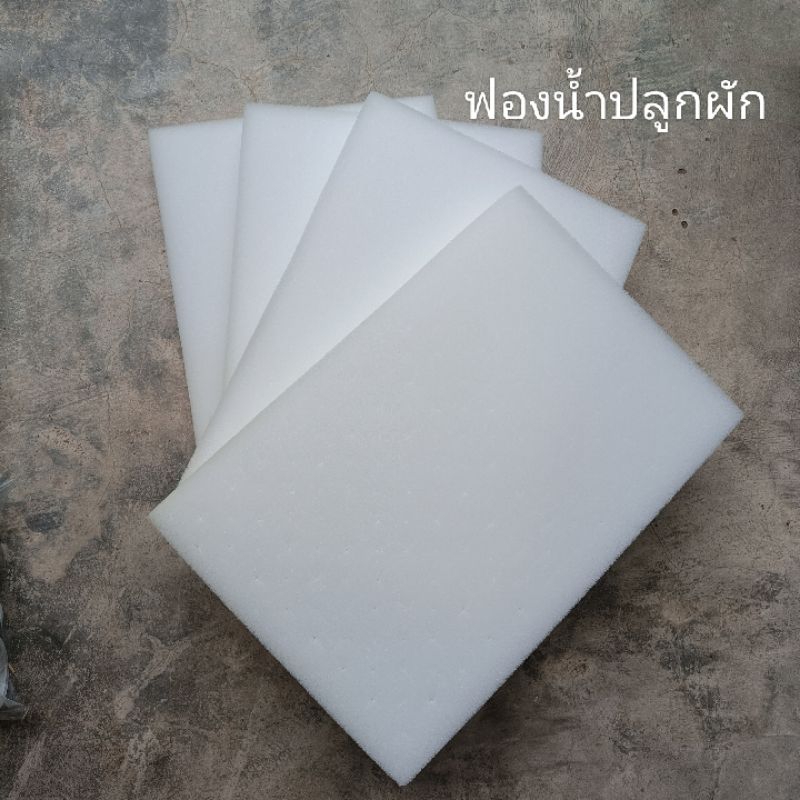 ฟองน้ำเพาะเมล็ด ฟองน้ำปลูกผัก ฟองน้ำเพาะกล้า ฟองน้ำปลูกผักไฮโดรโปนิกส์
