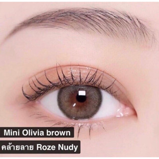 💕 [ มีค่าสายตา ] คอนแทคเลนส์ Mini olivia brown เลนส์สีน้ำตาล ผสมเทา