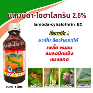 แลมบ์ดา ไซฮาโลทริน 2.5% EC สูตรเย็นฉีดผ่าดอกได้ กำจัดเพลี้ย หนอน มวน แมงแคงลำไย มะม่วง ขนาด 1 ลิตร