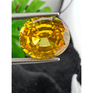 cz Diamond yellow 12x14mm 1 pieces Royal Thai step cut